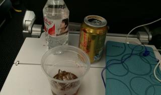 饮料能带上飞机吗 在机场买的饮料可以带上飞机吗
